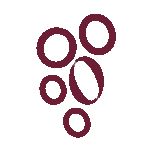 logo-vinos-y-vinos-uvas-vino